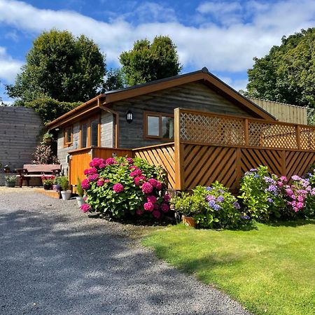 Swansea Log Cabin Pontardawe Экстерьер фото