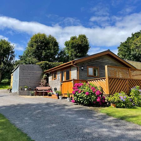 Swansea Log Cabin Pontardawe Экстерьер фото