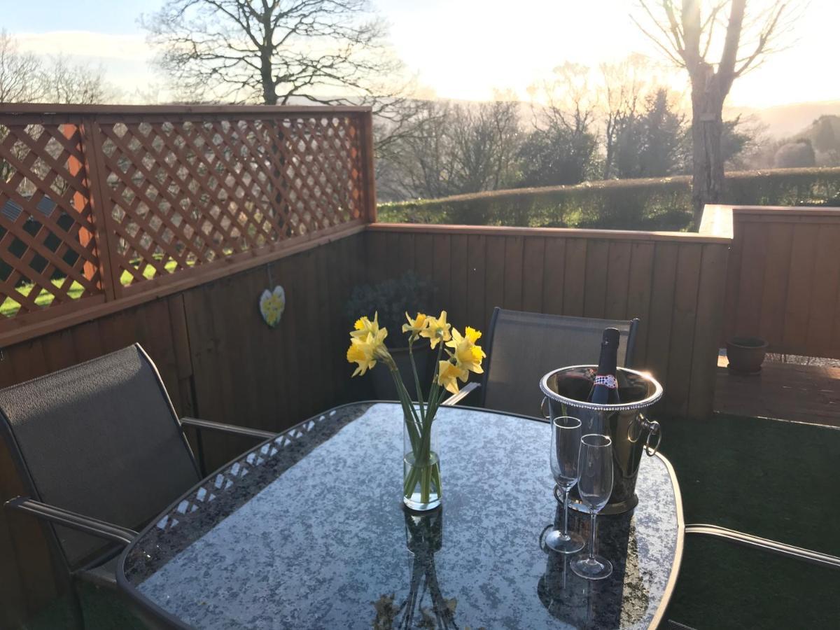 Swansea Log Cabin Pontardawe Экстерьер фото