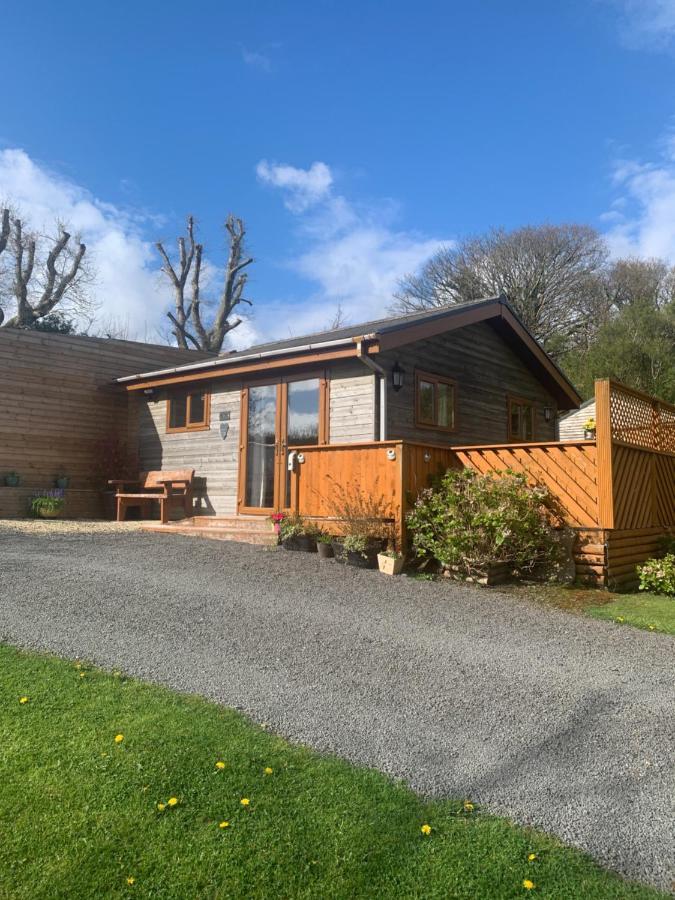 Swansea Log Cabin Pontardawe Экстерьер фото