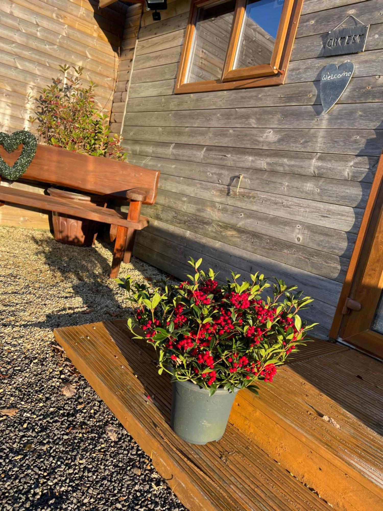 Swansea Log Cabin Pontardawe Экстерьер фото