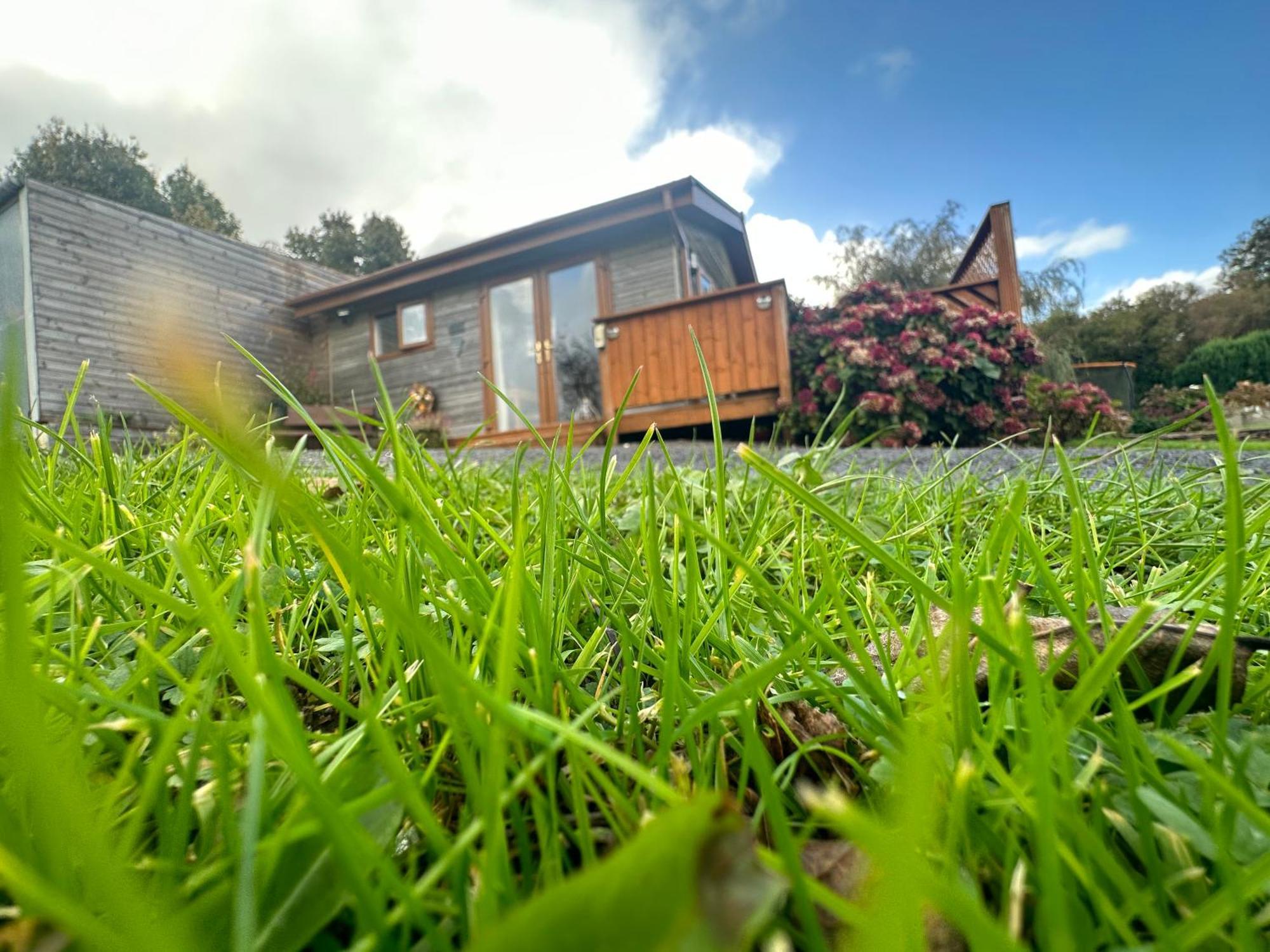 Swansea Log Cabin Pontardawe Экстерьер фото