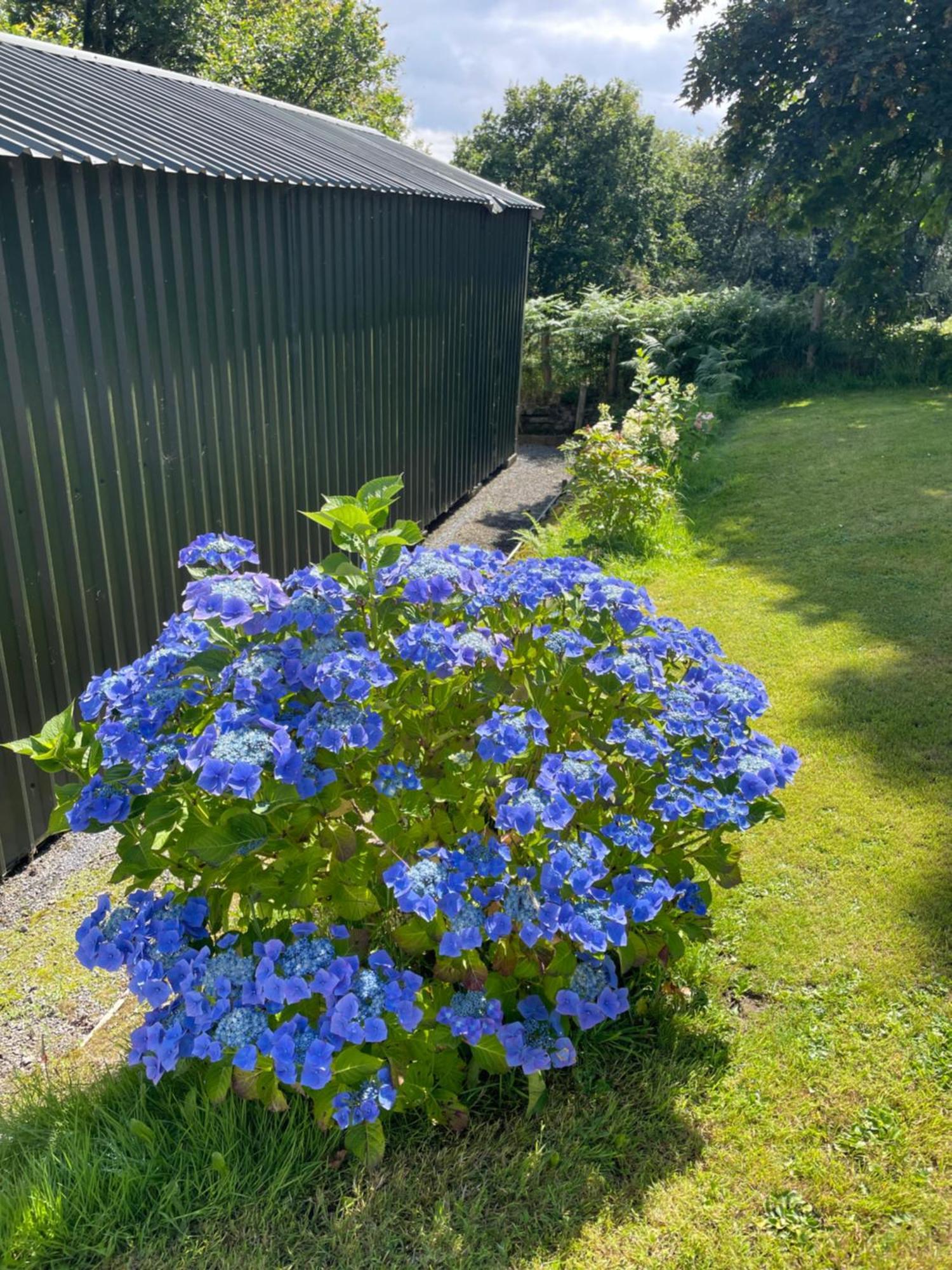 Swansea Log Cabin Pontardawe Экстерьер фото