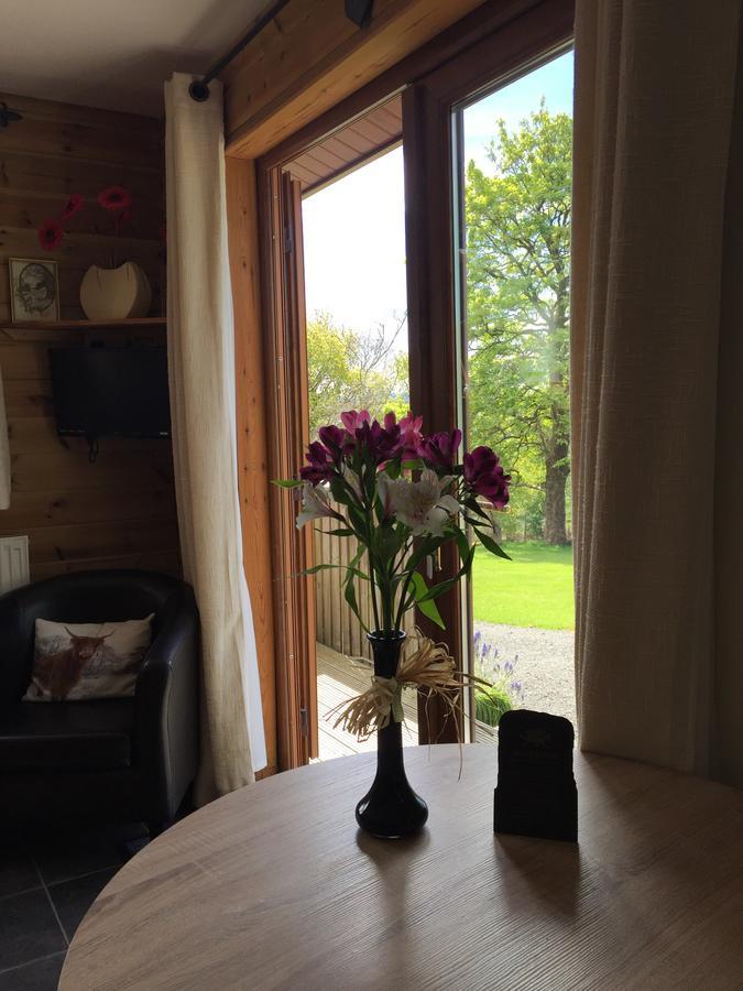 Swansea Log Cabin Pontardawe Экстерьер фото