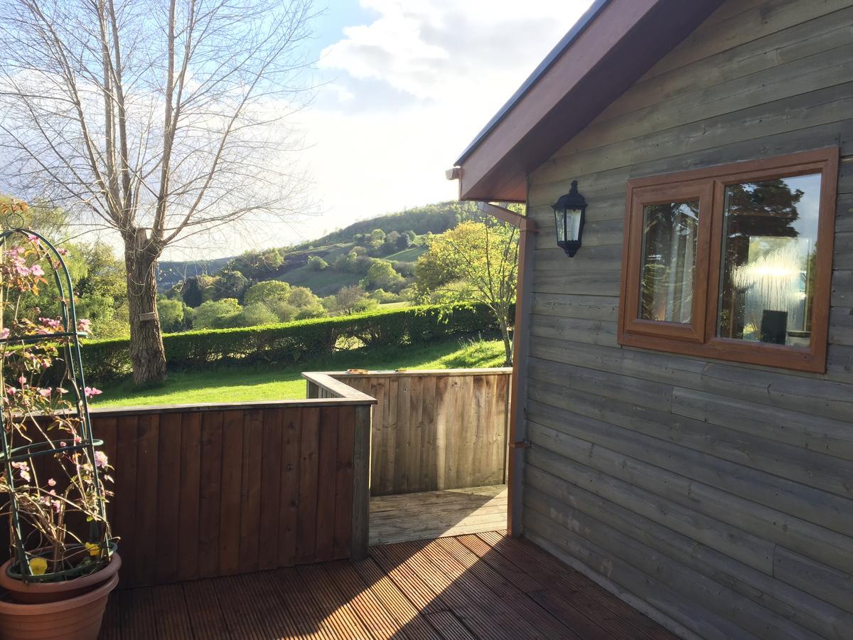 Swansea Log Cabin Pontardawe Экстерьер фото
