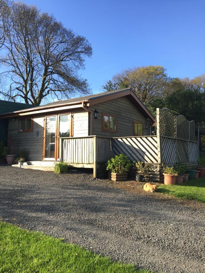 Swansea Log Cabin Pontardawe Экстерьер фото