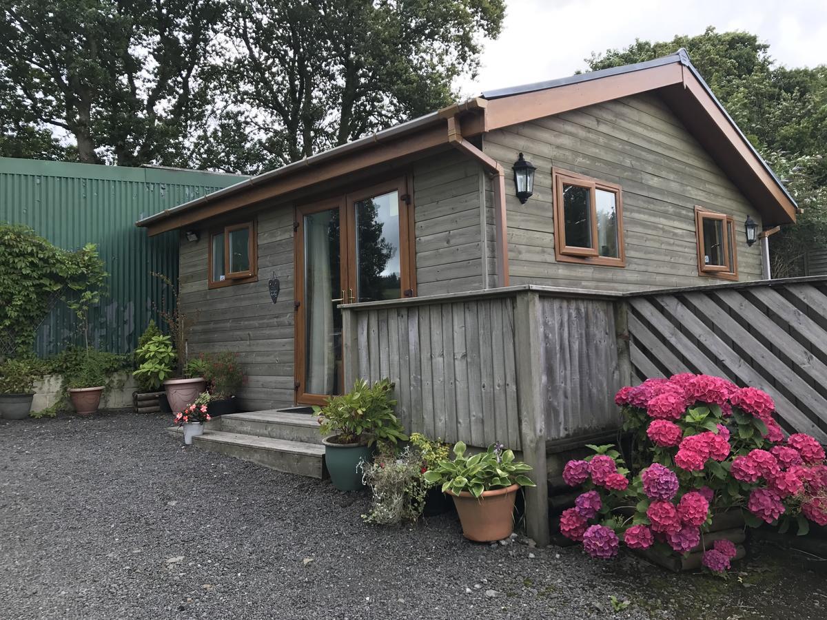 Swansea Log Cabin Pontardawe Экстерьер фото