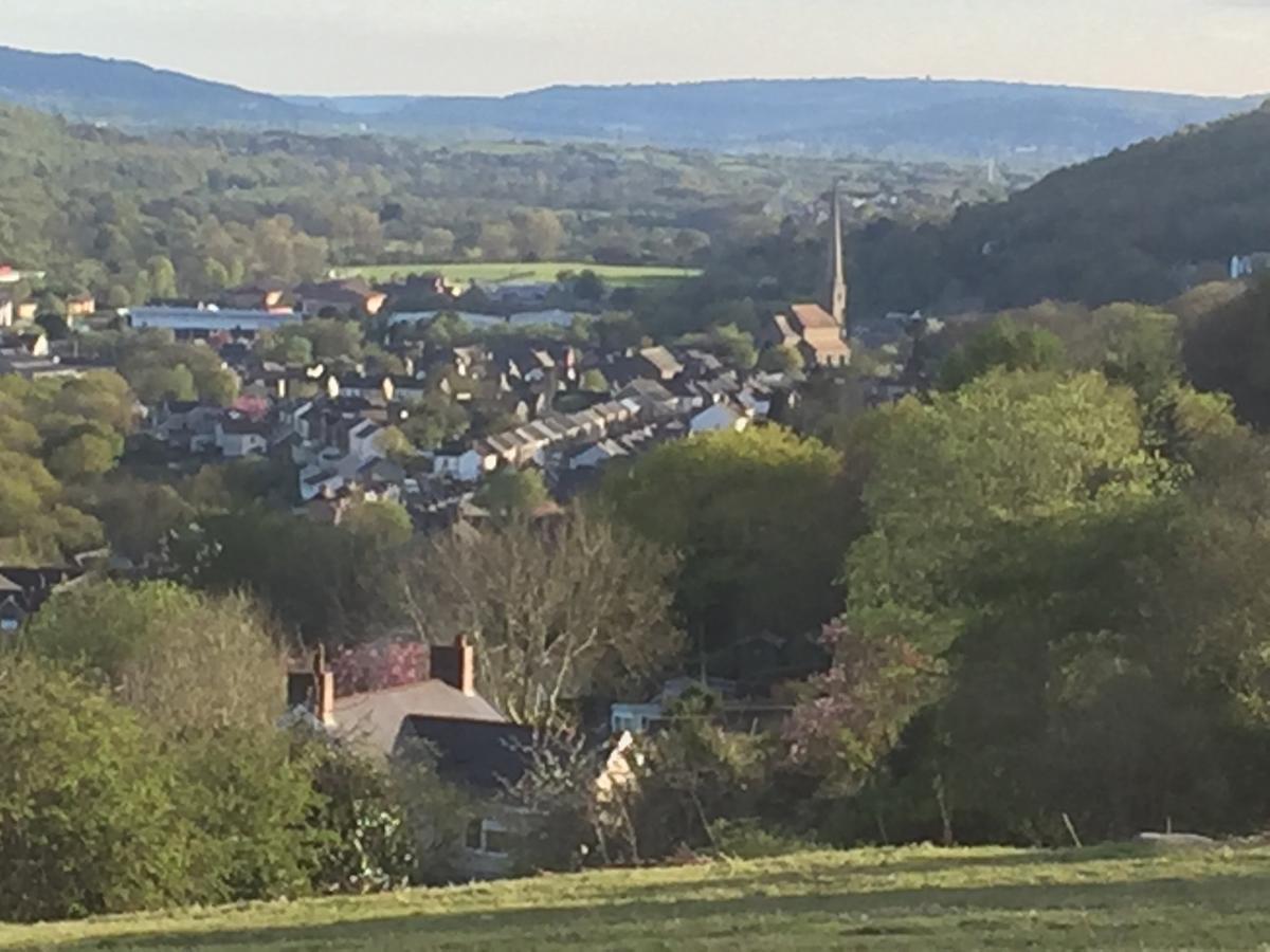 Swansea Log Cabin Pontardawe Экстерьер фото